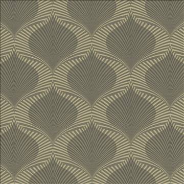 Kasmir Fabrics Impact Zone Charcoal Fabric 